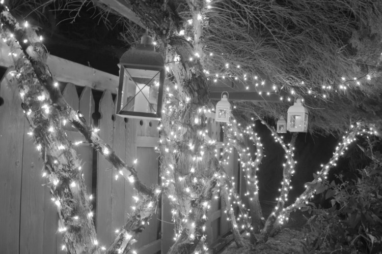 2E374535-3906-481C-8CD7-14DCF05586AC_1_105_c